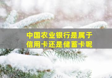 中国农业银行是属于信用卡还是储蓄卡呢