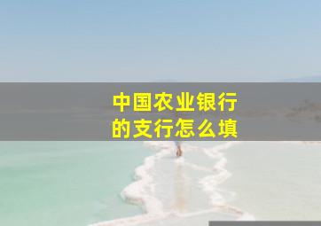 中国农业银行的支行怎么填