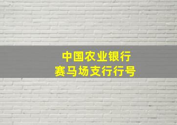 中国农业银行赛马场支行行号