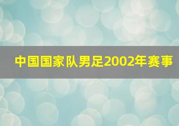 中国国家队男足2002年赛事