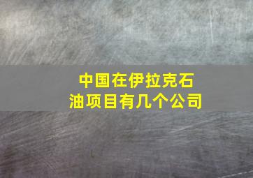 中国在伊拉克石油项目有几个公司