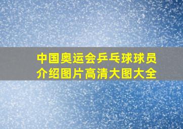 中国奥运会乒乓球球员介绍图片高清大图大全