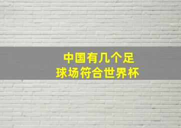 中国有几个足球场符合世界杯