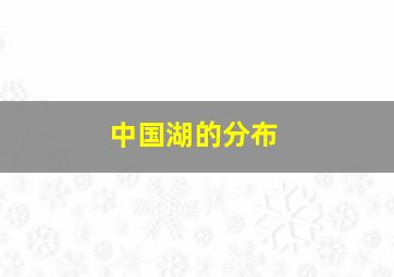 中国湖的分布