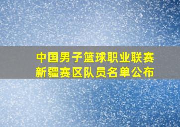 中国男子篮球职业联赛新疆赛区队员名单公布