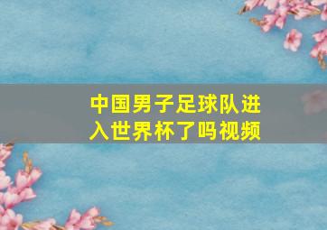 中国男子足球队进入世界杯了吗视频