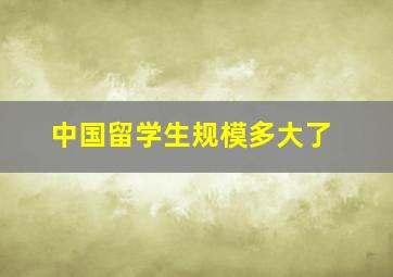 中国留学生规模多大了