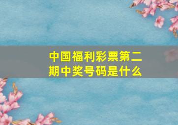 中国福利彩票第二期中奖号码是什么