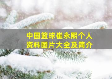 中国篮球崔永熙个人资料图片大全及简介