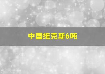 中国维克斯6吨