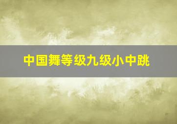 中国舞等级九级小中跳