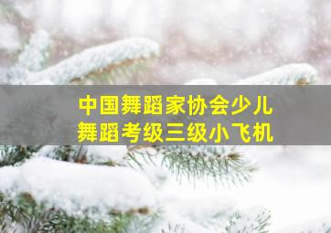 中国舞蹈家协会少儿舞蹈考级三级小飞机