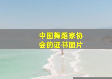 中国舞蹈家协会的证书图片