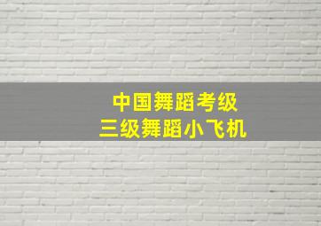 中国舞蹈考级三级舞蹈小飞机