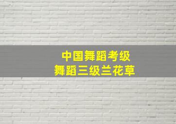 中国舞蹈考级舞蹈三级兰花草