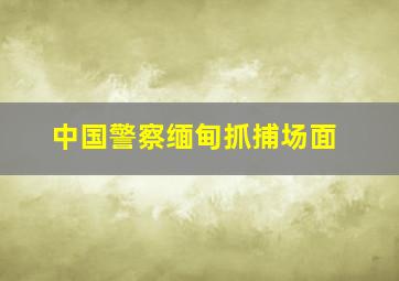 中国警察缅甸抓捕场面