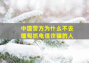 中国警方为什么不去缅甸抓电信诈骗的人