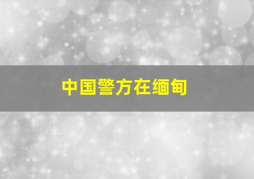 中国警方在缅甸