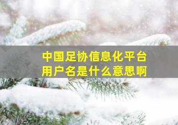 中国足协信息化平台用户名是什么意思啊