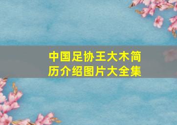 中国足协王大木简历介绍图片大全集