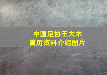 中国足协王大木简历资料介绍图片