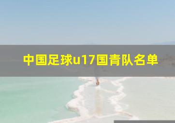 中国足球u17国青队名单