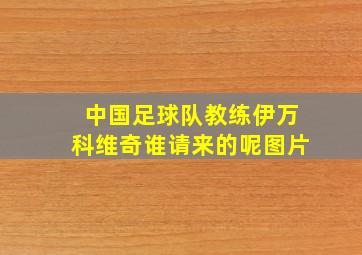 中国足球队教练伊万科维奇谁请来的呢图片