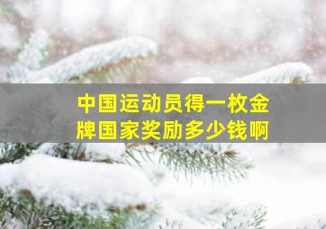 中国运动员得一枚金牌国家奖励多少钱啊