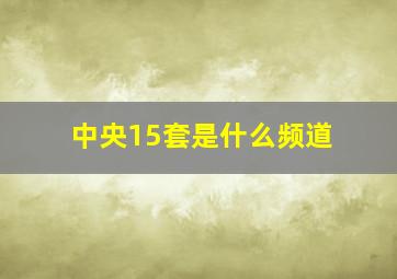 中央15套是什么频道