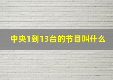 中央1到13台的节目叫什么