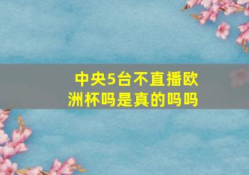 中央5台不直播欧洲杯吗是真的吗吗