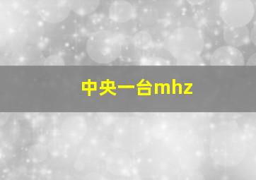 中央一台mhz