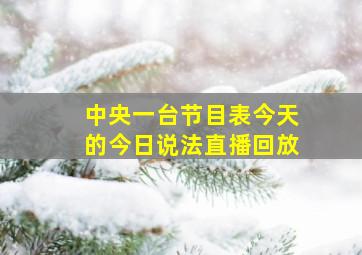 中央一台节目表今天的今日说法直播回放