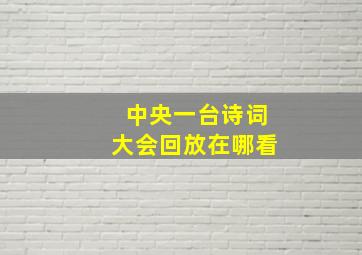 中央一台诗词大会回放在哪看