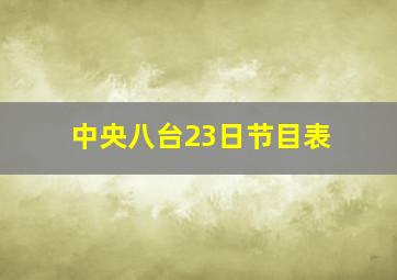 中央八台23日节目表