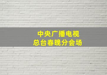 中央广播电视总台春晚分会场