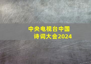 中央电视台中国诗词大会2024