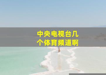 中央电视台几个体育频道啊