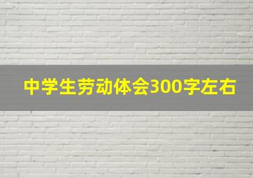 中学生劳动体会300字左右