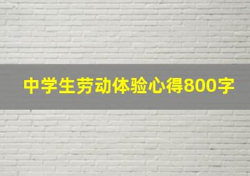 中学生劳动体验心得800字