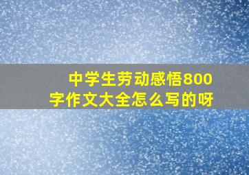 中学生劳动感悟800字作文大全怎么写的呀