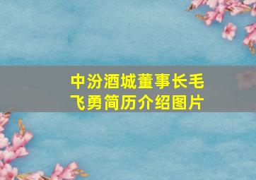 中汾酒城董事长毛飞勇简历介绍图片