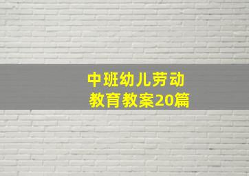 中班幼儿劳动教育教案20篇