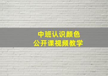 中班认识颜色公开课视频教学