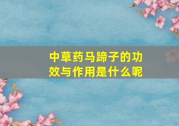 中草药马蹄子的功效与作用是什么呢