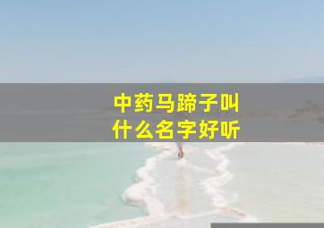 中药马蹄子叫什么名字好听