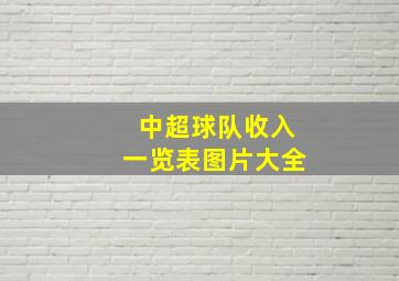 中超球队收入一览表图片大全