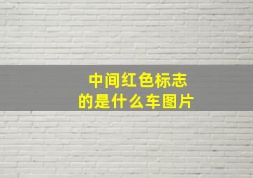 中间红色标志的是什么车图片