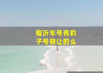 临沂车号有豹子号转让的么