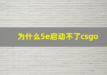 为什么5e启动不了csgo